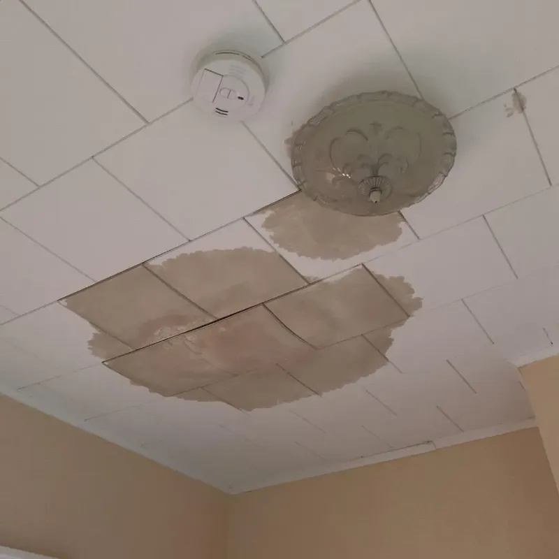Ceiling Water Damage Repair in Halfway, MD