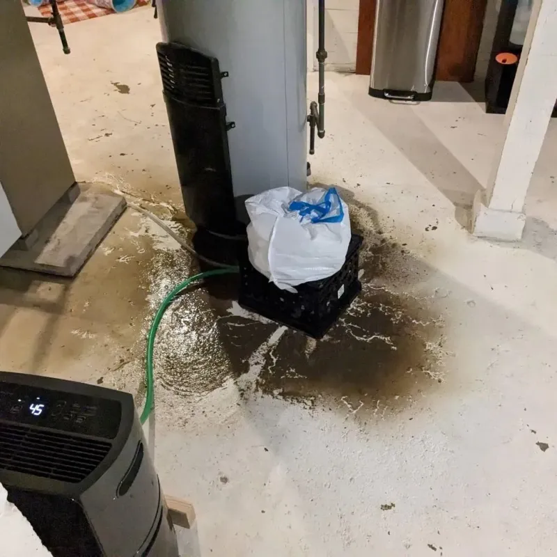 Sewage Backup Cleanup Service in Halfway, MD